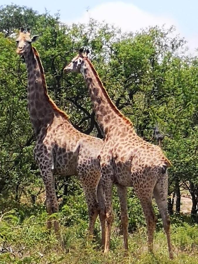 מאלליין Boulders Safari Lodge מראה חיצוני תמונה